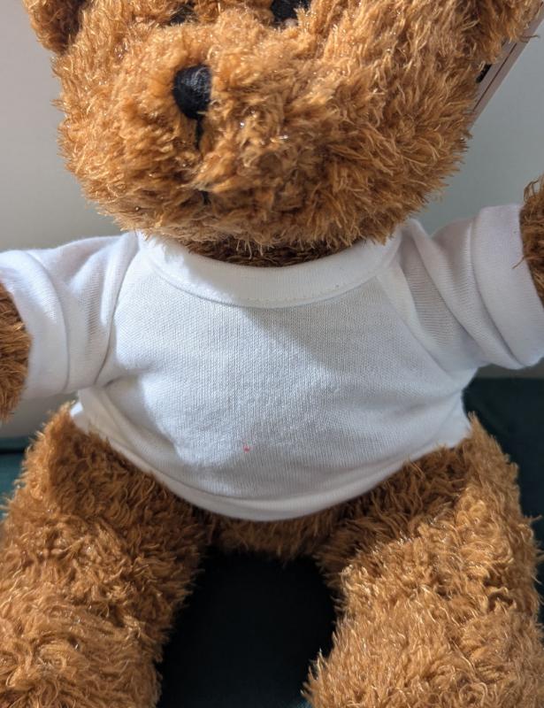 Custom Teddy Bear T Shirts