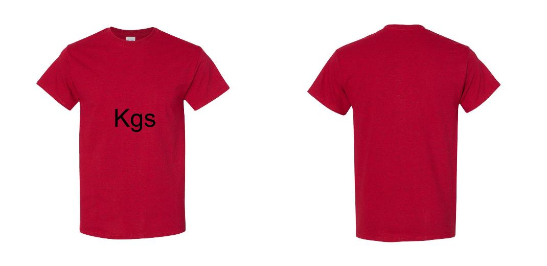Gildan Heavy Cotton T Shirts - 5000