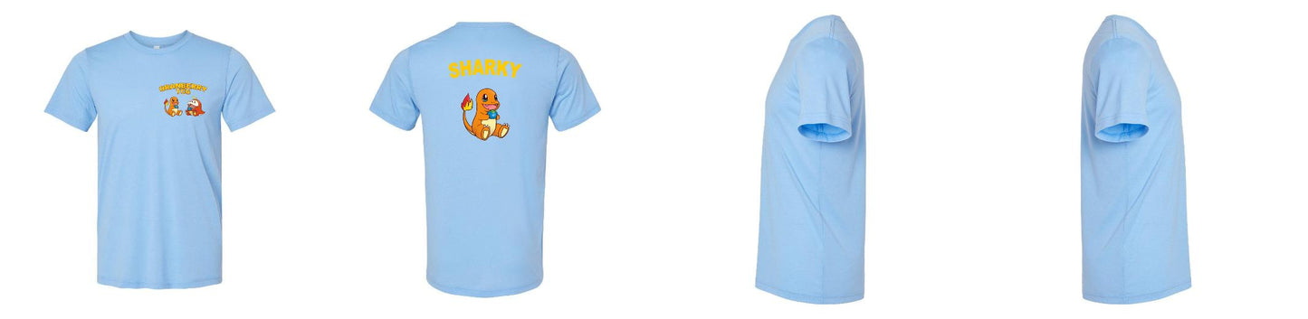 Bella Canvas Triblend T Shirts - 3413
