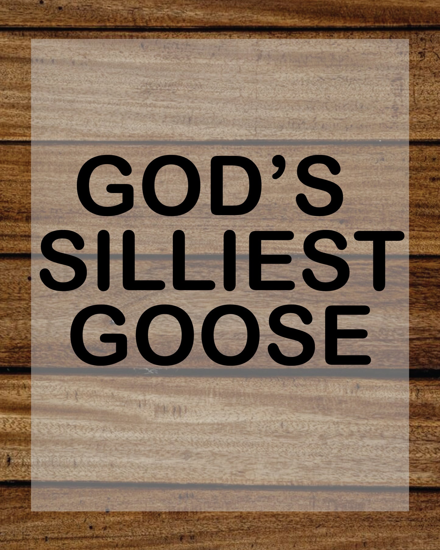 God’s Silliest Goose DTF Transfer