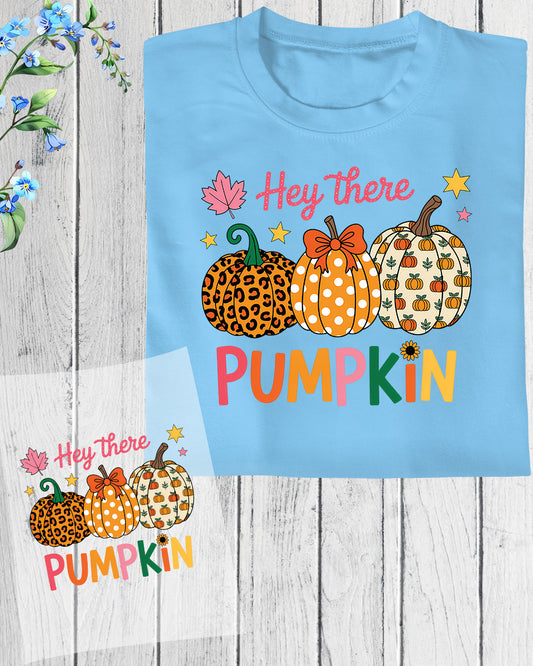 Hey There Pumpkin Fall DTF Transfer