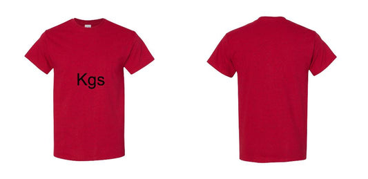 Gildan Heavy Cotton T Shirts - 5000