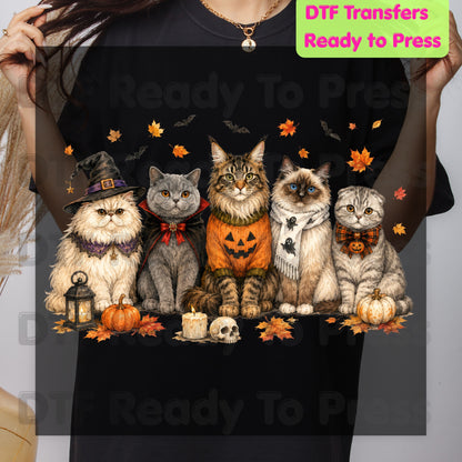 Halloween Cats DTF Transfer Ready to Press Witch Vampire Pumpkin Maine Coon Ragdoll Heat Transfer For Shirts Spooky Cat Gang Full Color