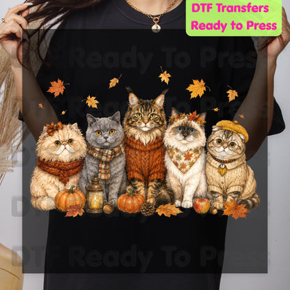 Halloween Cats DTF Transfer Ready to Press Autumn Cozy Sweater Heat Transfer For Shirts Kitten Pumpkin Leaves Maine Coon Ragdoll Cat Gang
