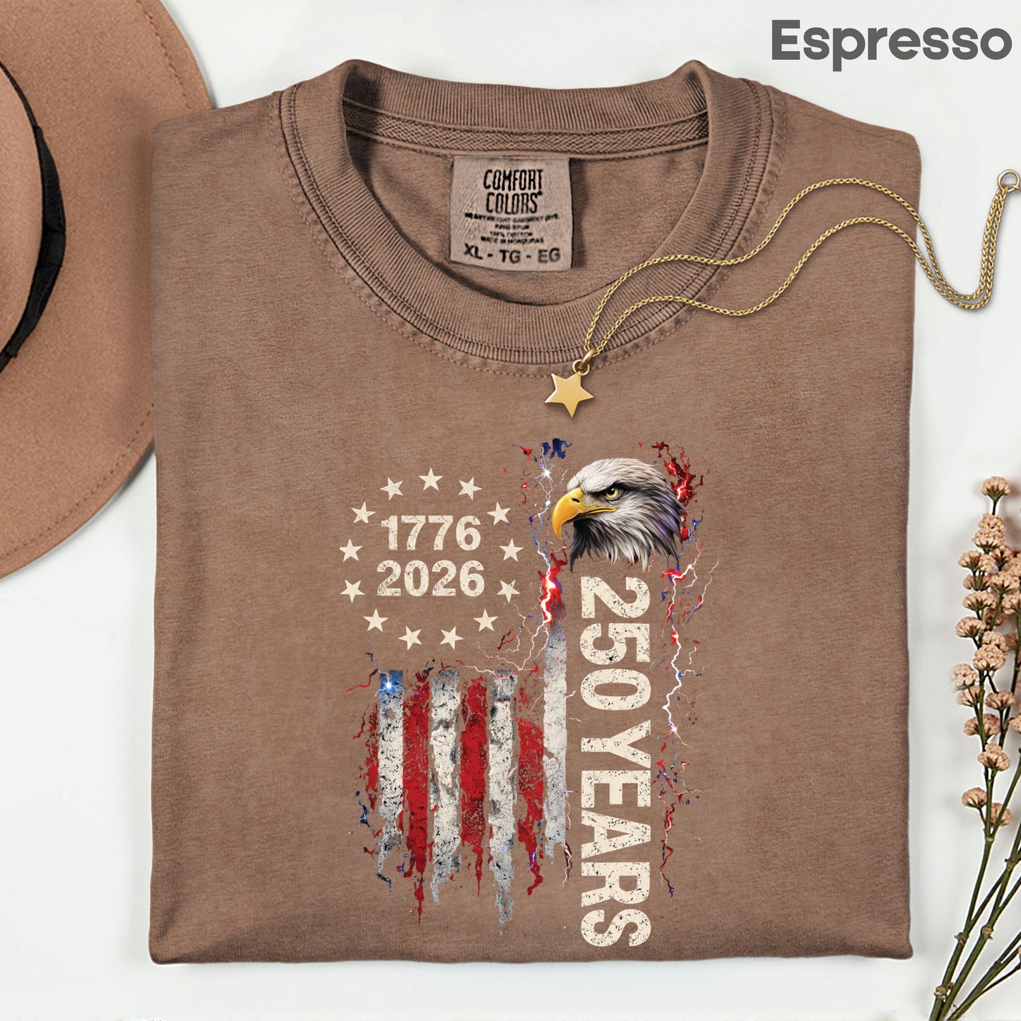 250 Years Comfort Colors T Shirt
