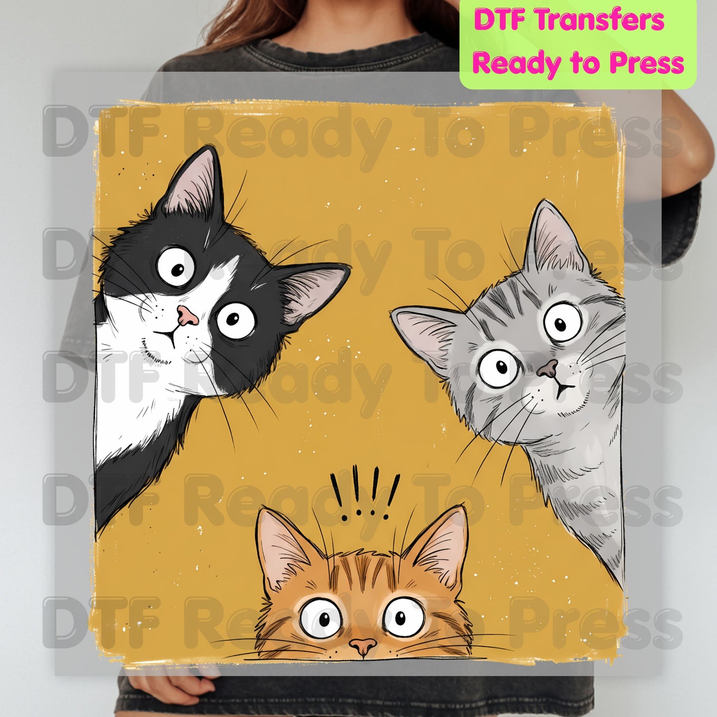 Curious Cats DTF Transfers, Peeking Cats Funny Cat Lover Kittens Ready to Press