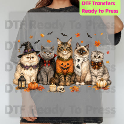 Halloween Cats DTF Transfer Ready to Press Witch Vampire Pumpkin Maine Coon Ragdoll Heat Transfer For Shirts Spooky Cat Gang Full Color