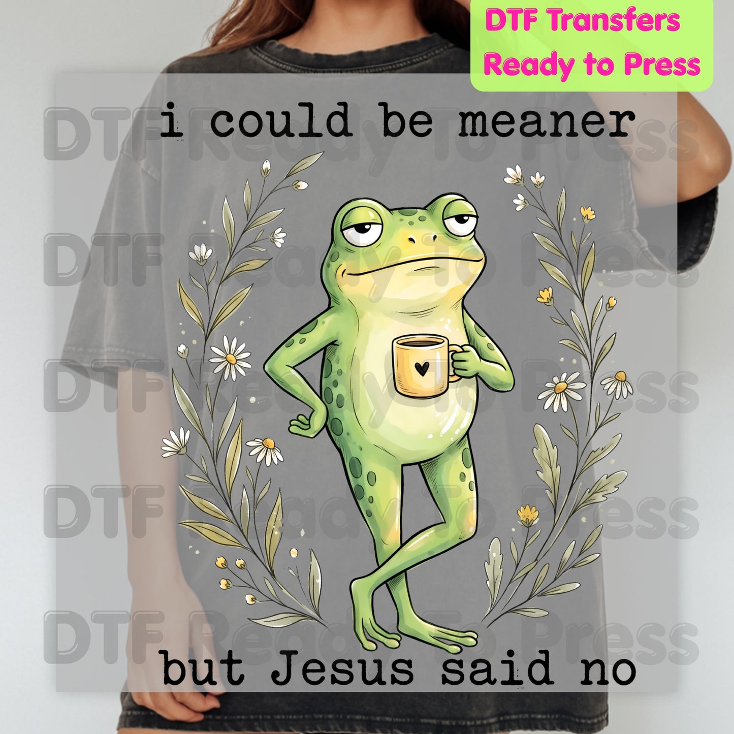 Funny Frog DTF Transfers, I Could Be Meaner But Jesus Said No Sarcastic Christian Ready to Press