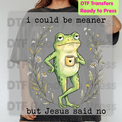 Funny Frog DTF Transfers, I Could Be Meaner But Jesus Said No Sarcastic Christian Ready to Press