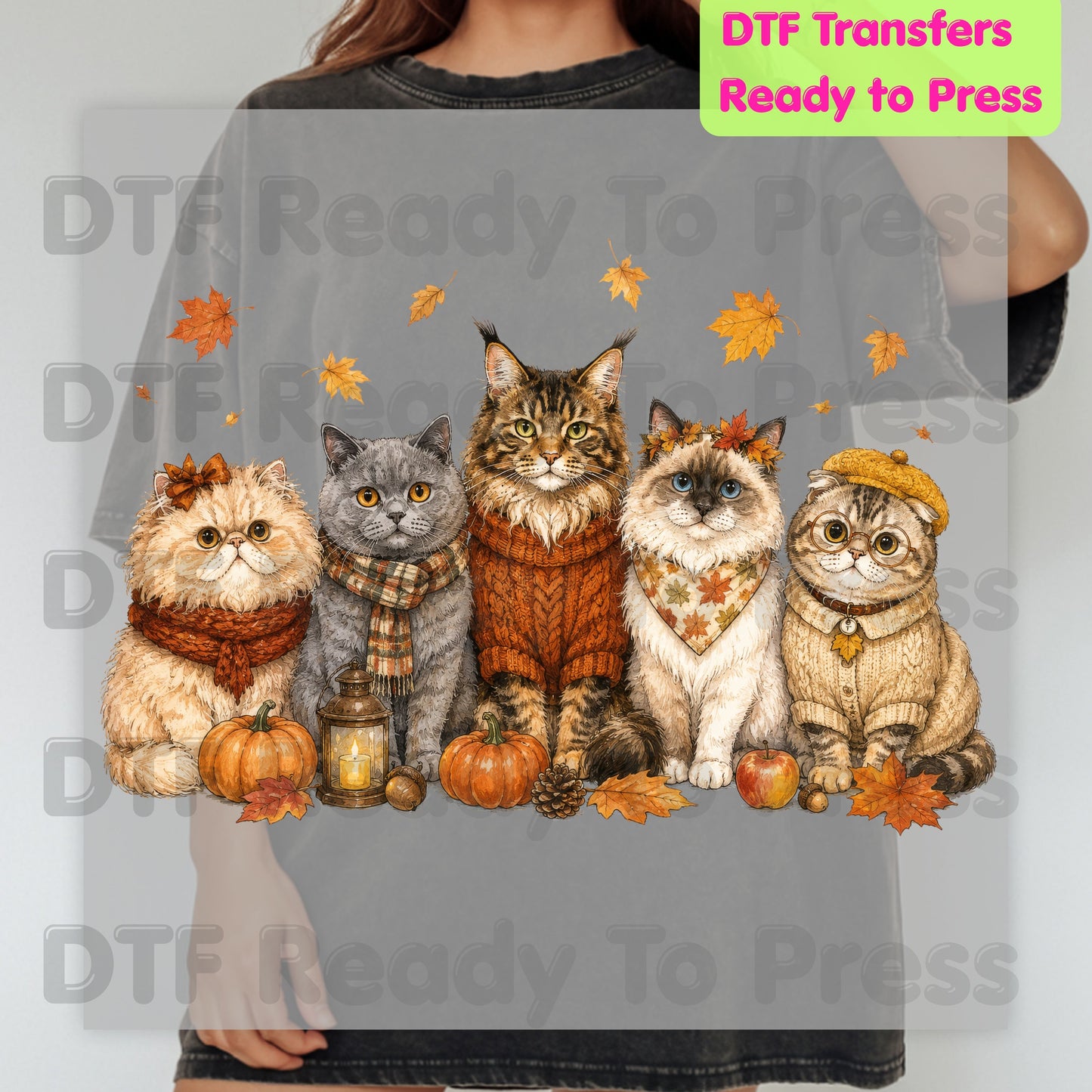 Halloween Cats DTF Transfer Ready to Press