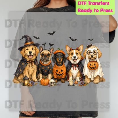 Halloween Dogs DTF Transfer Ready to Press Witch Ghost Devil Corgi Golden Retriever Heat Transfer For Shirts Spooky Dog Gang Full Color
