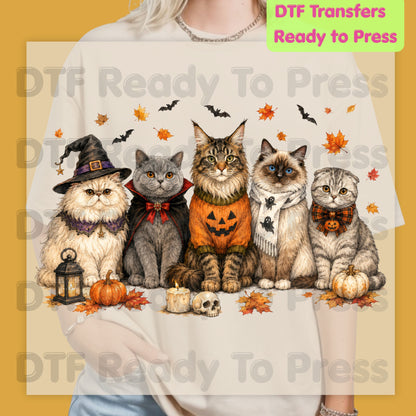 Halloween Cats DTF Transfer Ready to Press Witch Vampire Pumpkin Maine Coon Ragdoll Heat Transfer For Shirts Spooky Cat Gang Full Color