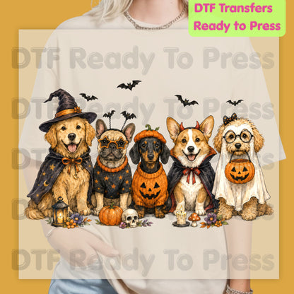 Halloween Dogs DTF Transfer Ready to Press Witch Ghost Devil Corgi Golden Retriever Heat Transfer For Shirts Spooky Dog Gang Full Color