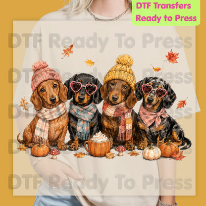 Fall Dachshund DTF Transfer Ready to Press Cozy Beanie Scarf Heat Transfer For Shirts Wiener Dog Pumpkin Spice Leaves Autumn Doxie Gang
