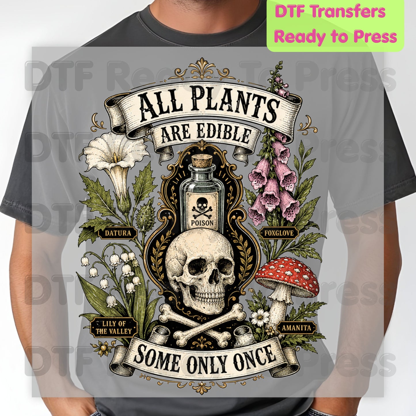 Funny Botanical DTF Transfers, All Plants Are Edible Some Only Once Poisonous Mushroom Skull Vintage Ready to Press