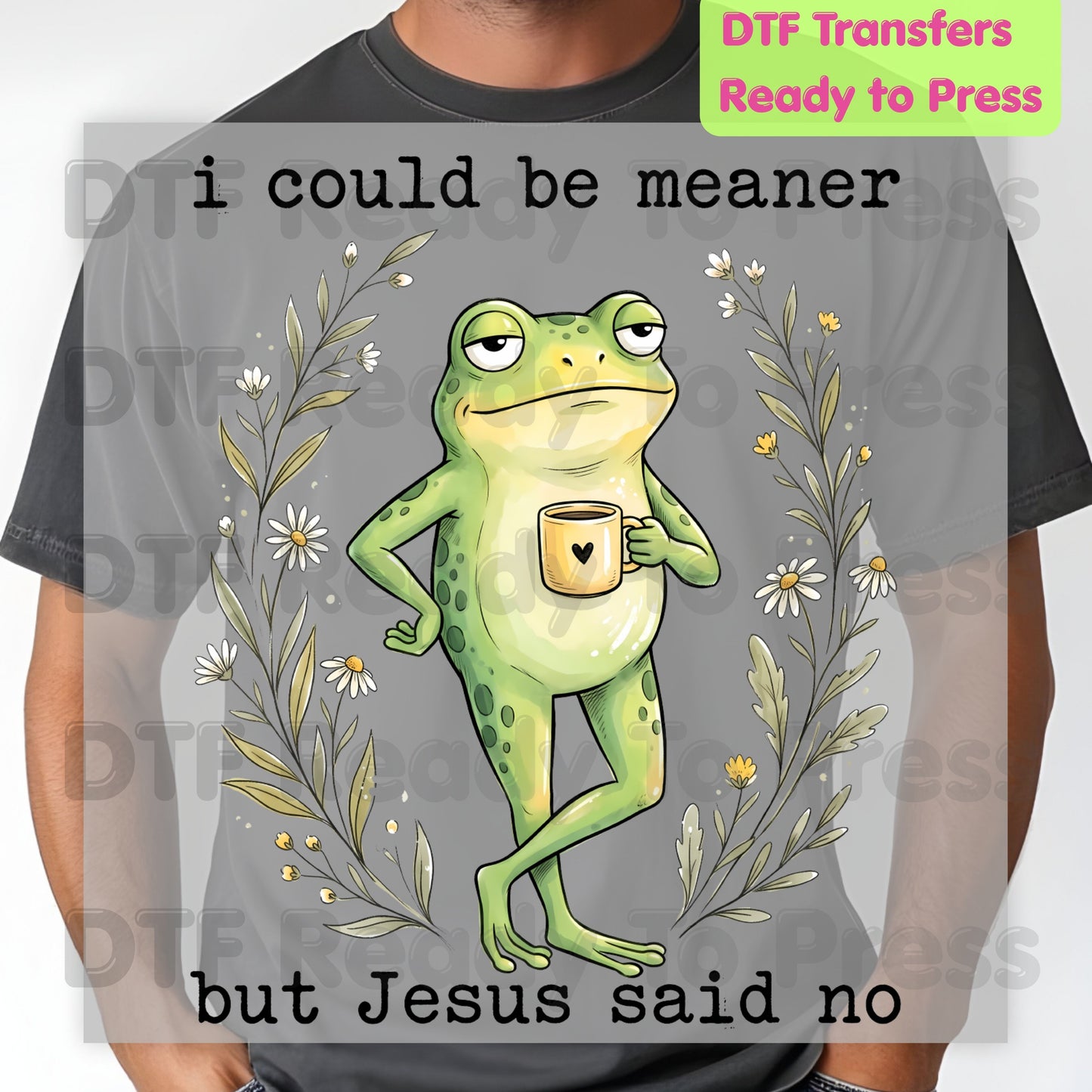Funny Frog DTF Transfers, I Could Be Meaner But Jesus Said No Sarcastic Christian Ready to Press