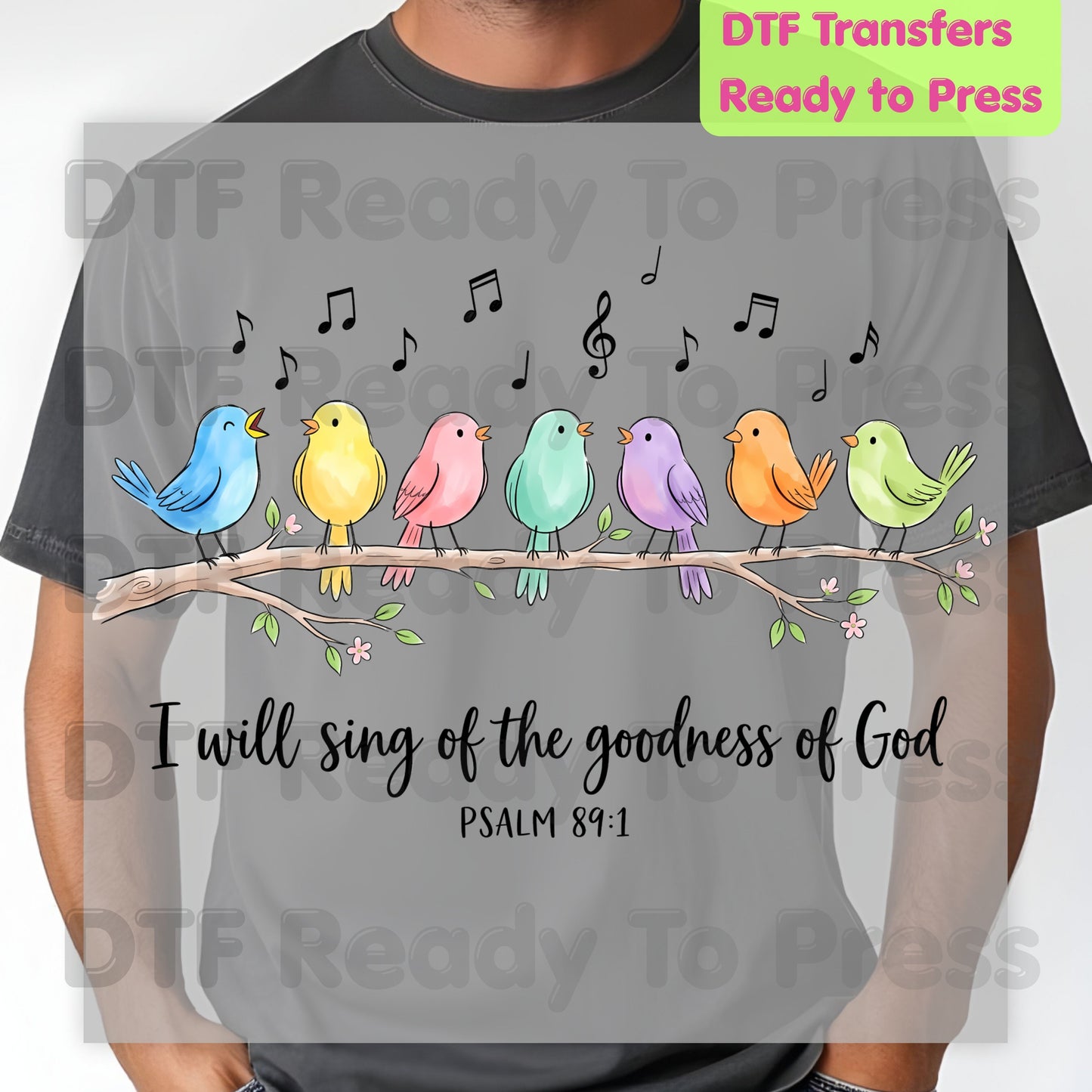 I Will Sing of God's Goodness DTF Transfers, Psalm 89:1 Christian Colorful Songbirds Bible Verse Ready to Press