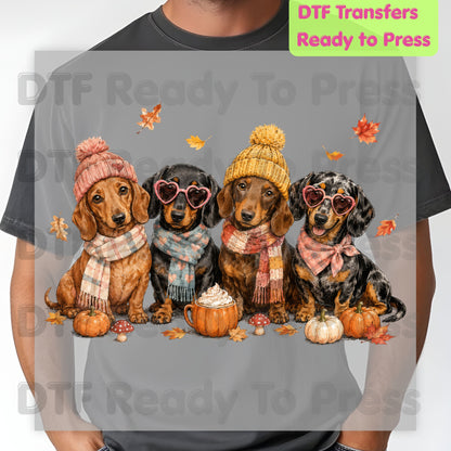 Fall Dachshund DTF Transfer Ready to Press Cozy Beanie Scarf Heat Transfer For Shirts Wiener Dog Pumpkin Spice Leaves Autumn Doxie Gang