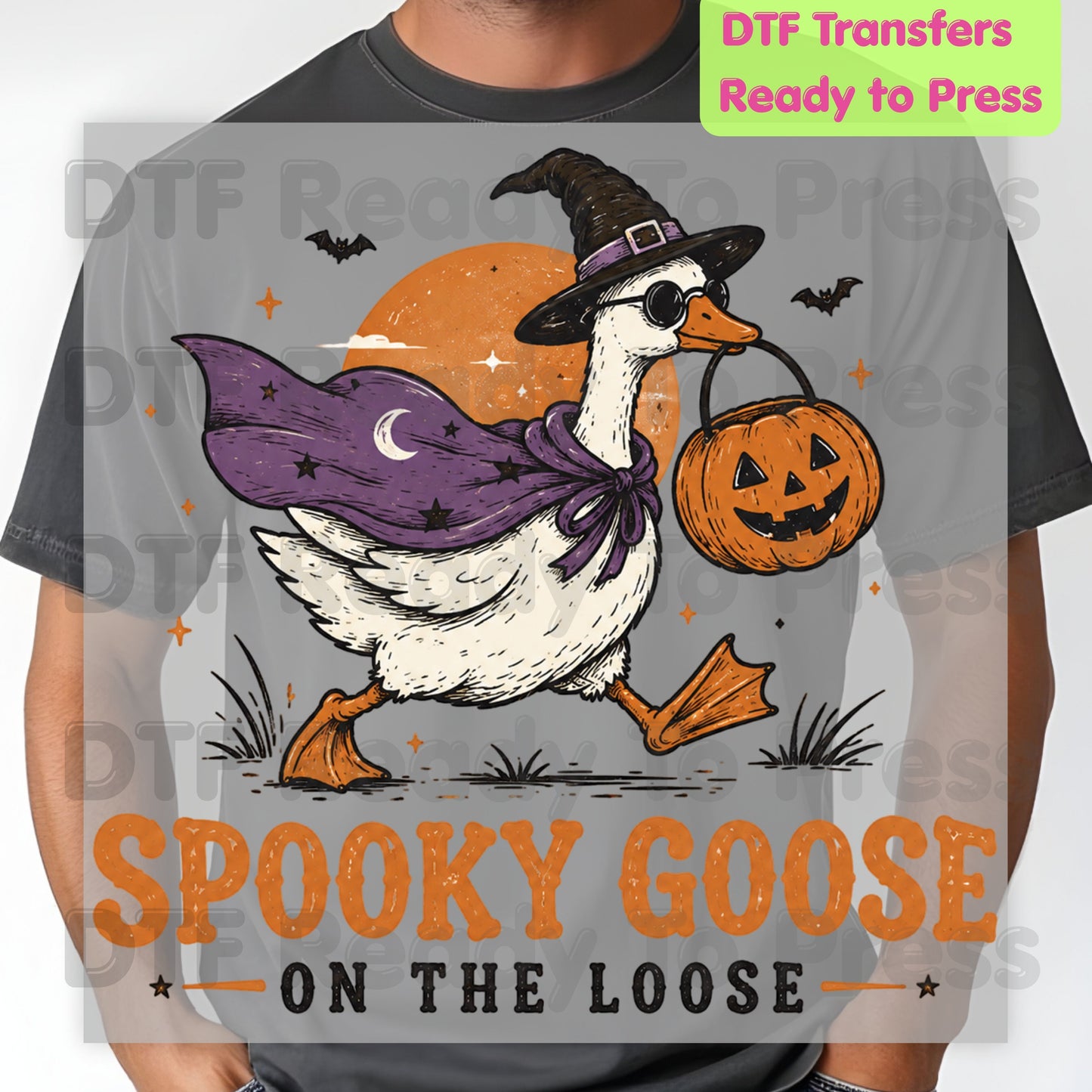 Spooky Goose DTF Transfers, Witch Goose Halloween Pumpkin Trick or Treat Ready to Press