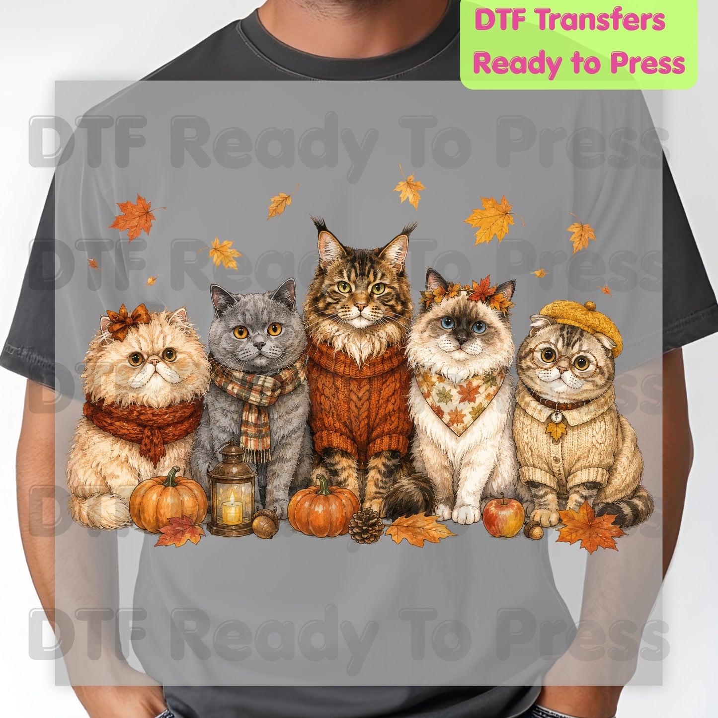 Halloween Cats DTF Transfer Ready to Press