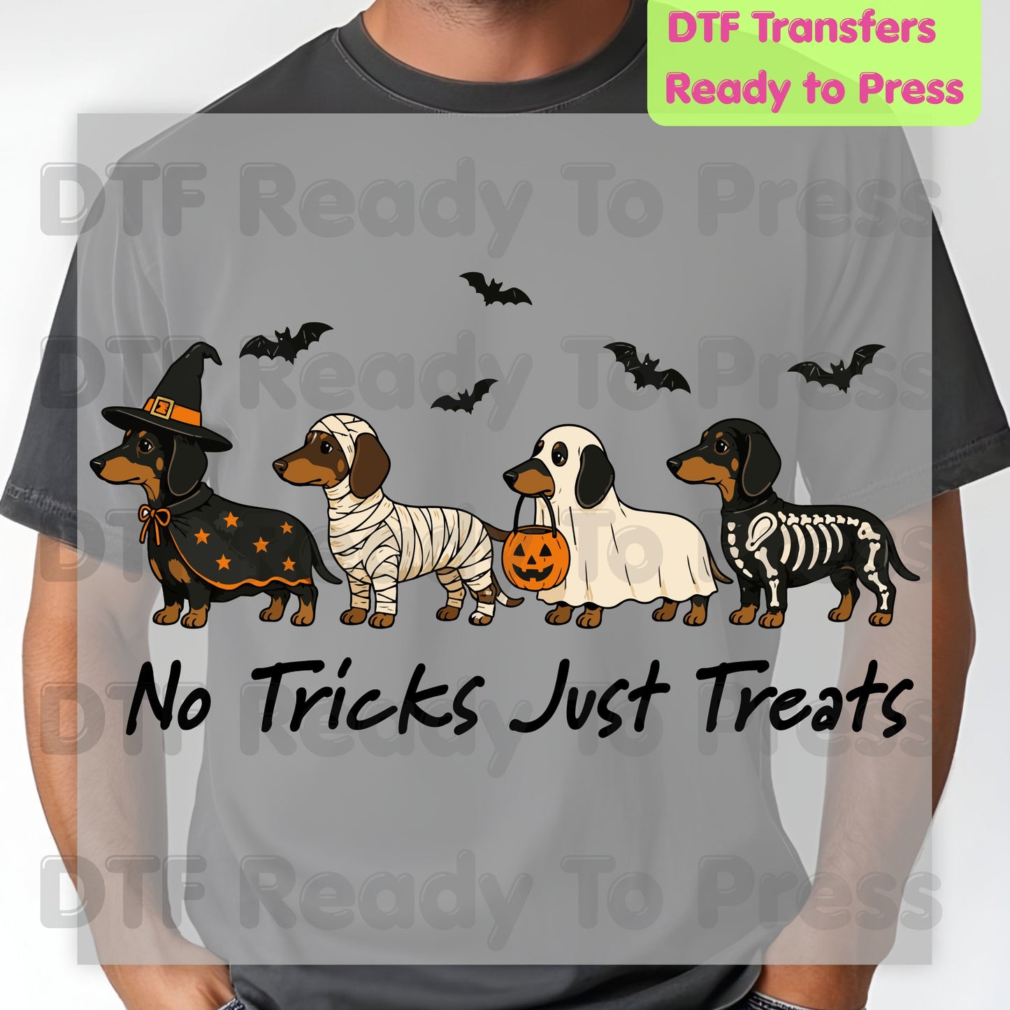 Halloween Dachshund DTF Transfer Ready to Press No Tricks Just Treats Heat Transfer For Shirts Skeleton Ghost Mummy Wiener Dog Spooky Print