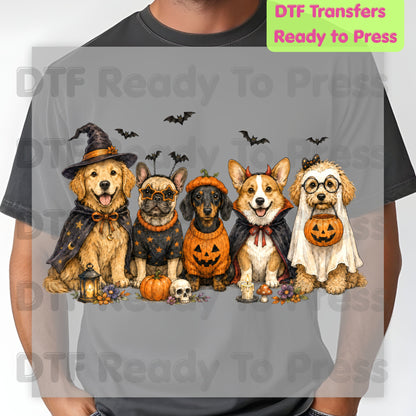 Halloween Dogs DTF Transfer Ready to Press Witch Ghost Devil Corgi Golden Retriever Heat Transfer For Shirts Spooky Dog Gang Full Color