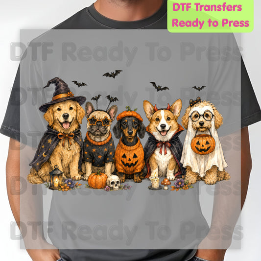 Halloween Dogs DTF Transfer Ready to Press Witch Ghost Devil Corgi Golden Retriever Heat Transfer For Shirts Spooky Dog Gang Full Color