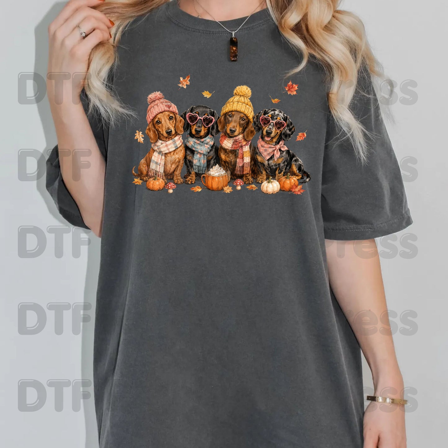 Fall Dachshund DTF Transfer Ready to Press Cozy Beanie Scarf Heat Transfer For Shirts Wiener Dog Pumpkin Spice Leaves Autumn Doxie Gang
