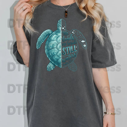 Christian DTF Transfers, Sea Turtle He Leads Me Beside Still Waters Psalm 23