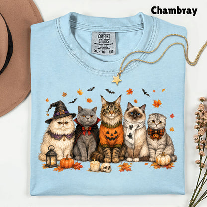Halloween Cats Comfort Colors T Shirts Cute Witchy Kitty Sweater Tee Spooky Pumpkin Vampire Cat Shirt Autumn Fall Leaves Graphic Gifts