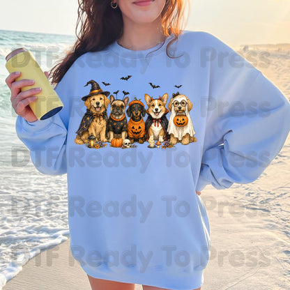Halloween Dogs DTF Transfer Ready to Press Witch Ghost Devil Corgi Golden Retriever Heat Transfer For Shirts Spooky Dog Gang Full Color