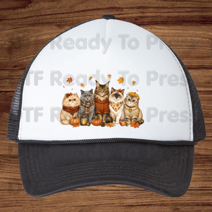 Halloween Cats DTF Transfer Ready to Press