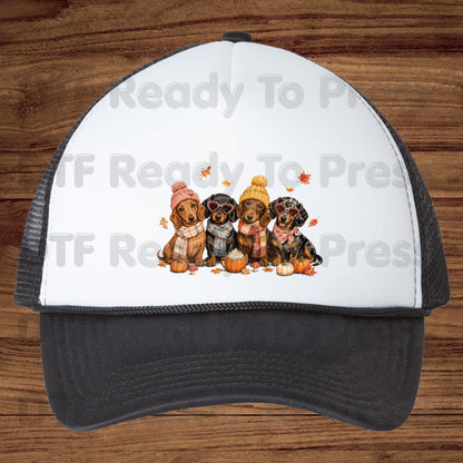 Fall Dachshund DTF Transfer Ready to Press Cozy Beanie Scarf Heat Transfer For Shirts Wiener Dog Pumpkin Spice Leaves Autumn Doxie Gang