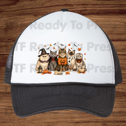 Halloween Cats DTF Transfer Ready to Press Witch Vampire Pumpkin Maine Coon Ragdoll Heat Transfer For Shirts Spooky Cat Gang Full Color