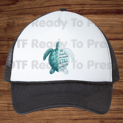 Christian DTF Transfers, Sea Turtle He Leads Me Beside Still Waters Psalm 23