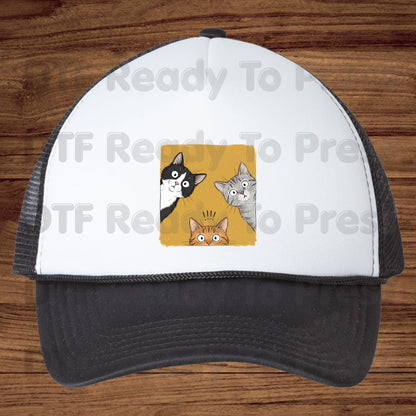 Curious Cats DTF Transfers, Peeking Cats Funny Cat Lover Kittens Ready to Press