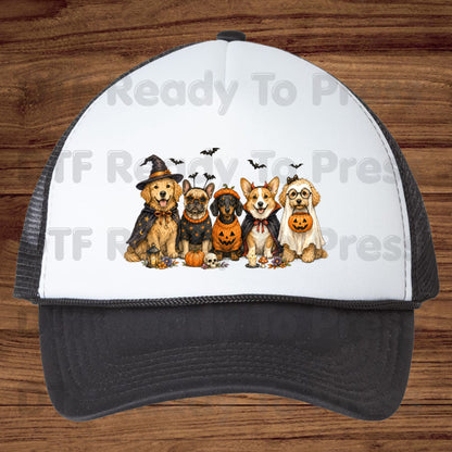 Halloween Dogs DTF Transfer Ready to Press Witch Ghost Devil Corgi Golden Retriever Heat Transfer For Shirts Spooky Dog Gang Full Color