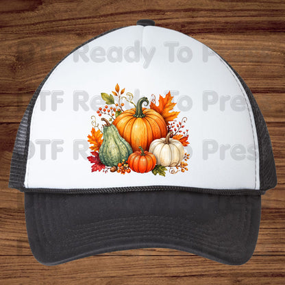 Fall Pumpkin DTF Transfer, Watercolor Harvest Gourd and Leaves Ready to Press
