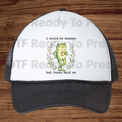 Funny Frog DTF Transfers, I Could Be Meaner But Jesus Said No Sarcastic Christian Ready to Press