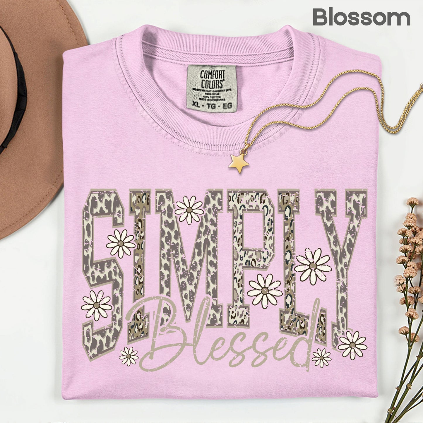 Blessed Comfort Colors T Shirt