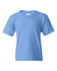 Carolina Blue