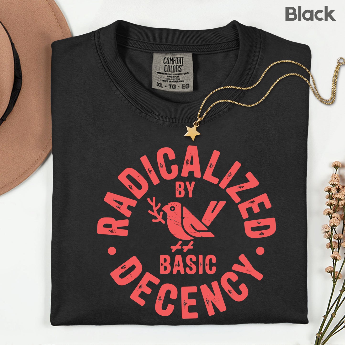 Radicalized by Basic Decency Comfort Colors T Shirts