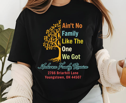 Family Reunion T Shirt Custom Family Reunion 2026 Tee Aint No Family Like The One I Got Shirt Matching Family Gathering Tops