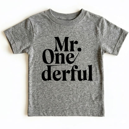 Mr Onederful 1st Birthday Shirt First Birthday Boy Bodysuit Mr Wonderful Baby Tee One Year Old Birthday Outfit Toddler Birthday Gift