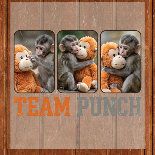 Team Punch DTF Transfer Ready to Press Monkey Hugging Plush Friend Cute Animal Besties Design UV Sticker Prints