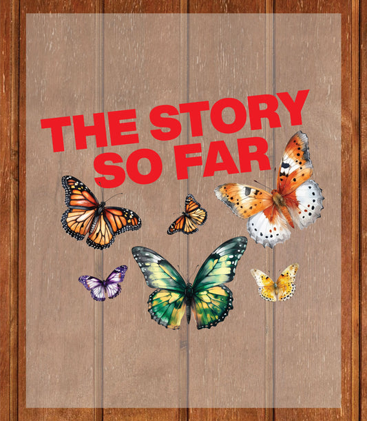 The Story So Far DTF Transfer Ready to Press, Butterfly Heat Transfer For Shirt, Mental Health UV Sticker Prints