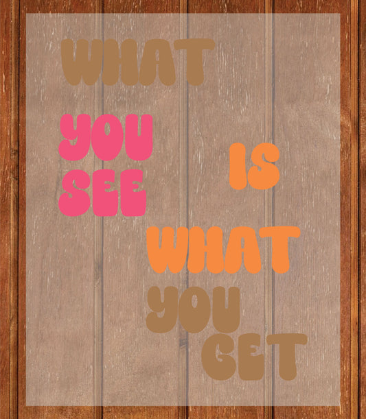 What you see is what you get DTF Transfer Ready to Press, Sarcastic Heat Transfer For Shirt, Funny joke Slogan UV Sticker Prints