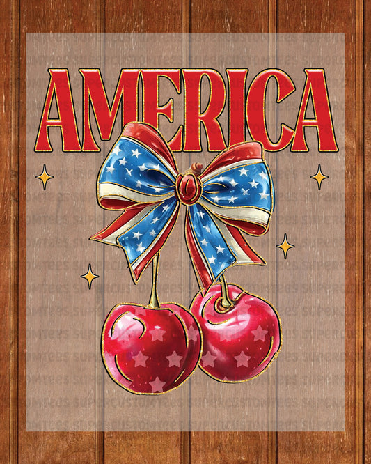 America Strawberries DTF Transfer Ready to Press