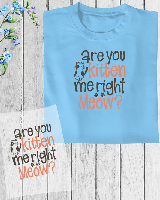 Are You Kitten Me Right Meaw DTF Transfer Film