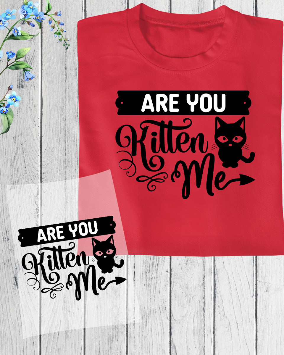 Are You Kitten Me DTF Transfer Film